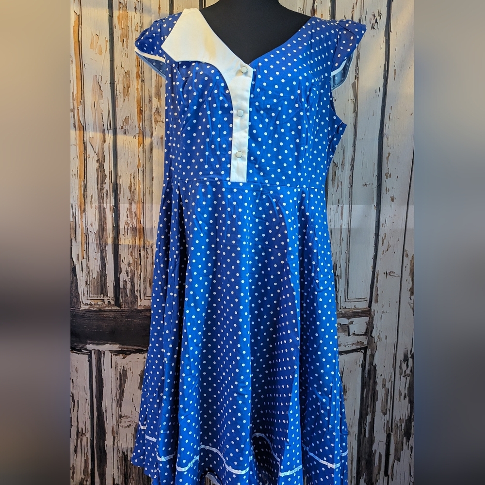 NWT H&R Hearts and Roses pin up dress